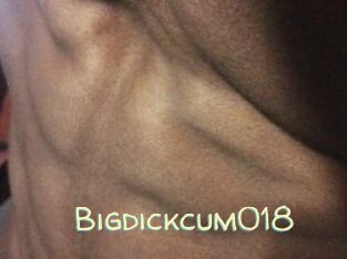 Bigdickcum018