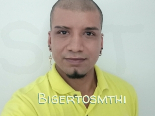Bigertosmthi