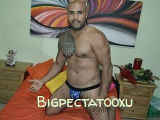 Bigpectatooxu