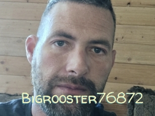 Bigrooster76872