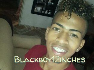 Blackboy12inches