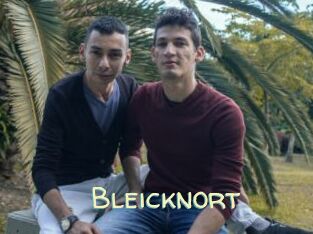 Bleicknort