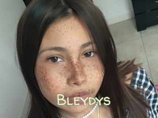 Bleydys