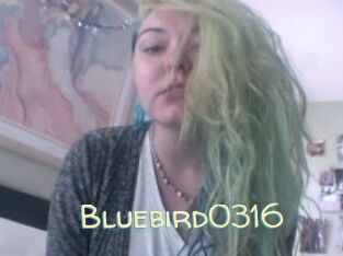 Bluebird0316