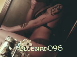 Bluebird096