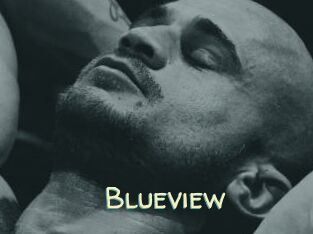 Blueview