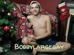 Bobbylargegay