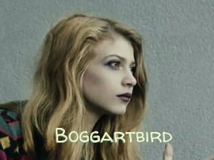 Boggartbird