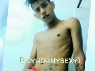 Boyhornysexy1
