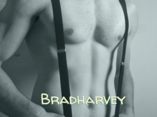 Bradharvey