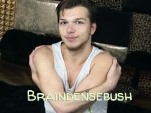 Braindensebush