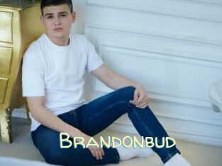 Brandonbud