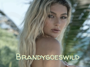 Brandygoeswild
