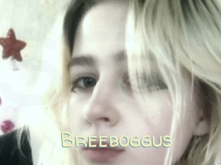 Breeboggus