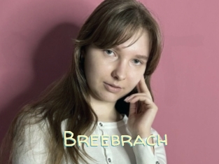 Breebrach