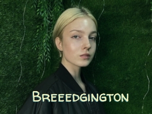 breeedgington Sexy Tchat