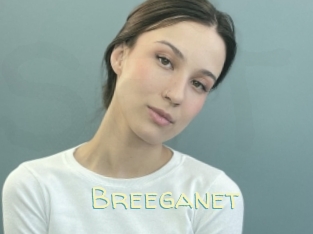 Breeganet