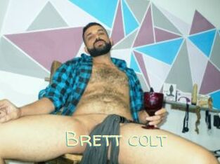 Brett_colt