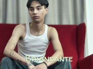Briandante