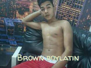 Brown_boylatin