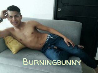 Burningbunny