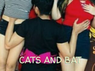 CATS_AND_BAT