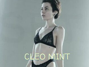 CLEO_MINT