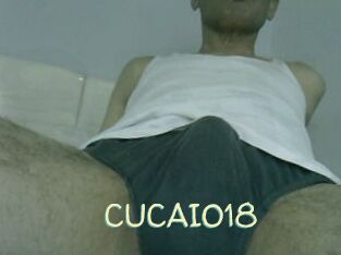 CUCAIO18