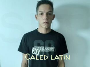 Caled_latin