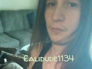 Calidude1134