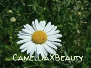 Camellia_XBeauty