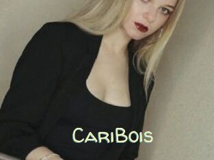 CariBois