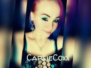 CarlieCoxx