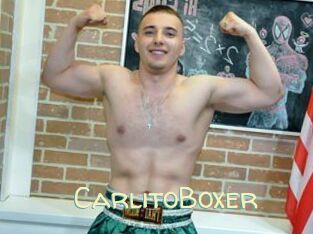CarlitoBoxer