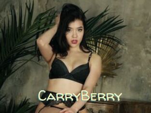 CarryBerry