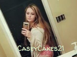 CaseyCakes21 Sexy Tchat