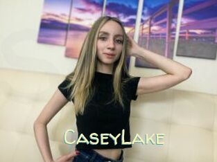 CaseyLake
