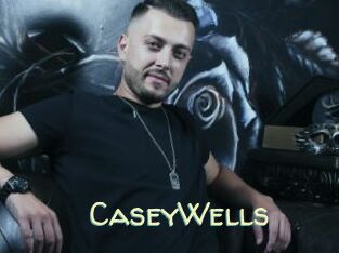 CaseyWells Sexy Tchat