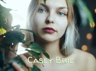 Casey_Brie Sexy Tchat