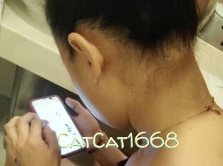 CatCat1668