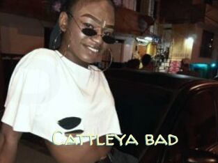 Cattleya_bad