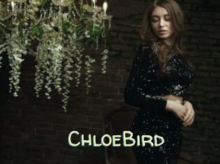 ChloeBird
