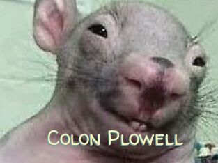 Colon_Plowell