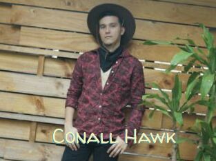 Conall_Hawk