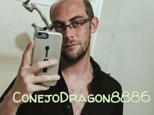 ConejoDragon8886