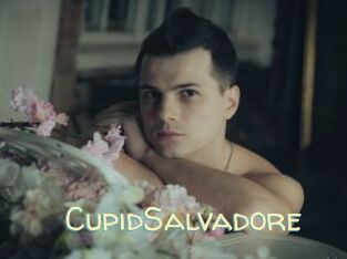 CupidSalvadore