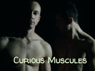 Curious_Muscules
