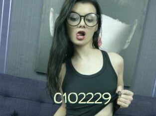 C102229