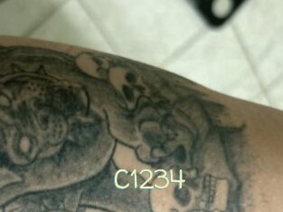 C1234