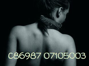 C86987-07105003
